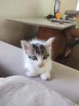 Bob