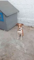 Billy