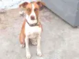 Billy
