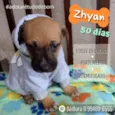 Zhyan