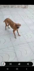 Milla