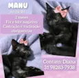 Manu