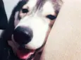 Faruk 