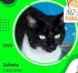 JULIETA
