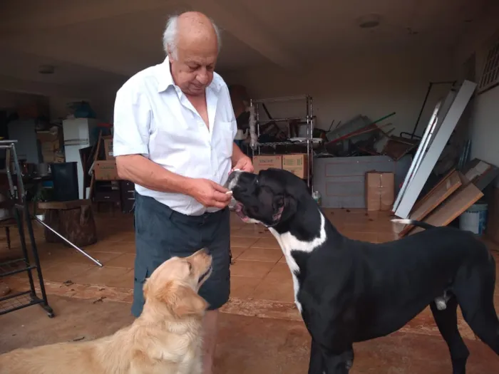 Cachorro ra a Mestiços idade Abaixo de 2 meses nome Não tem.