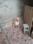 Manteiga