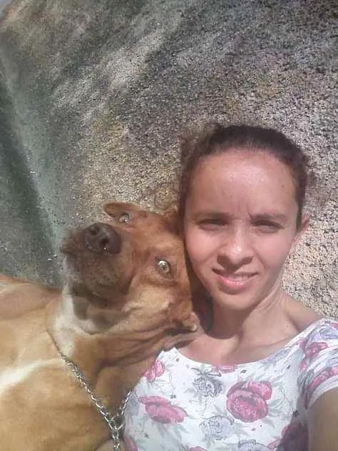 Cachorro ra a Viralata, labrador,pitbul idade 6 ou mais anos nome Max