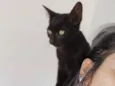 Pelé