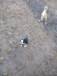 Abandonados sem nome
