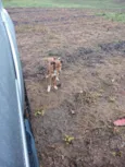 Abandonados sem nome