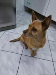 Lilica