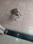 Théo