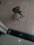 Théo