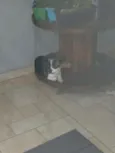 Théo