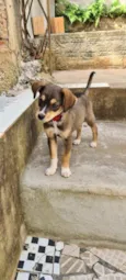 Bartô 