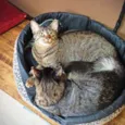 Bella e Mimo