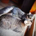 Bella e Mimo