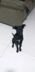 Bolinha
