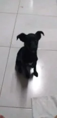 Bolinha