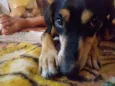 Ben