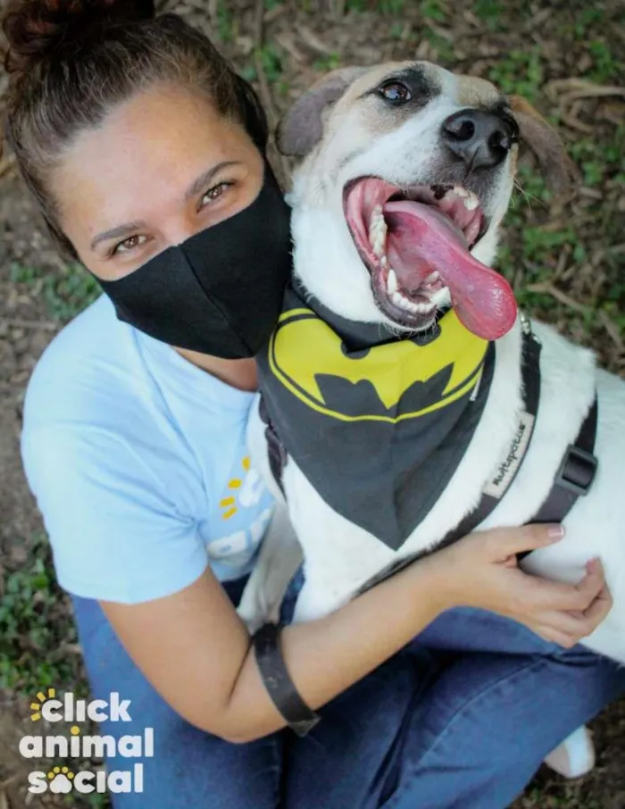 Cachorro ra a SRD-ViraLata idade 3 anos nome Yoshi & Manhoso