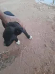 Princesa 