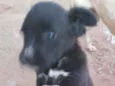 Princesa 