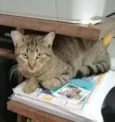 .......