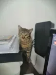 .......