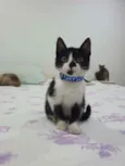 ..........
