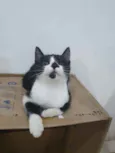 ..........