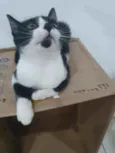 ..........