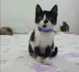 ..........