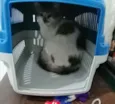 .........