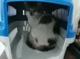 .........