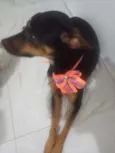 Candy
