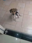 Théo