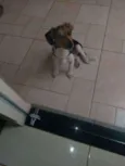 Théo