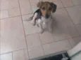 Théo