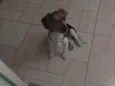 Théo