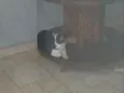 Théo