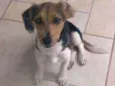 Théo