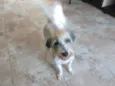 Lua