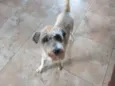 Lua