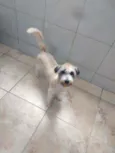 Lua