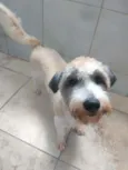 Lua