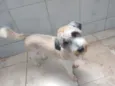 Lua