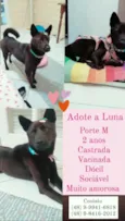 Luna Felícia