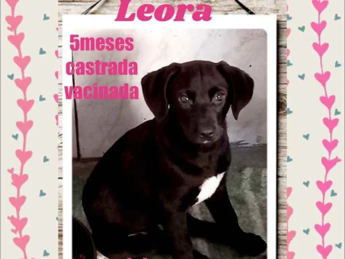Leora