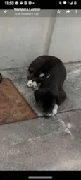 Pretinho e Doroti